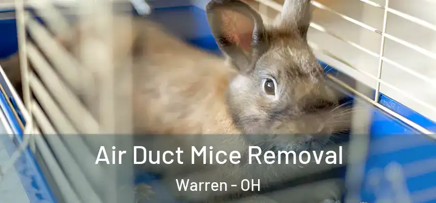  Air Duct Mice Removal Warren - OH