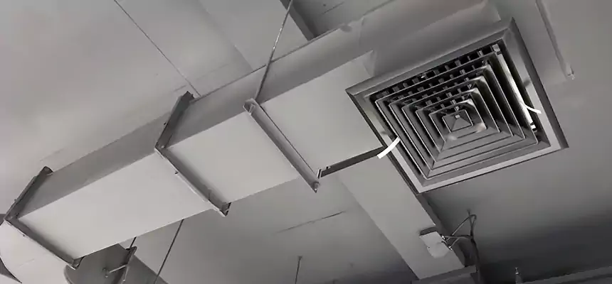 Restorative Allergy Relief Vent Cleaning – Coil, Blower & Housing Detail in Warren