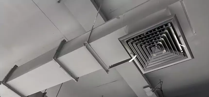 Our Rodent Droppings In Vents Services in Warren, OH