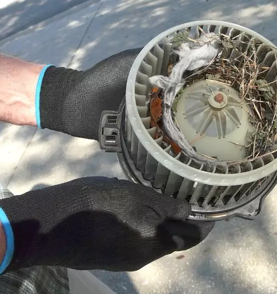 About Air Duct Mice Removal in Warren, OH