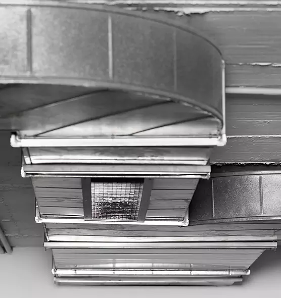 Professional Air Duct Pest Removal in Warren, OH